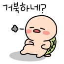 대의 오서방 의령망개떡 이미지