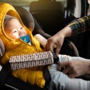 중앙카시트 이미지