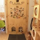 미다래서면점 | [남포동 고양이카페]고양이 다락방