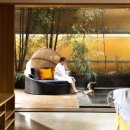 둥지세신 이미지