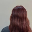 제니헤어 네이버블로그