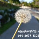 부동산헤라공인중개사사무소 네이버블로그