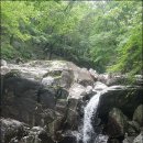 칠성마트 이미지