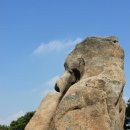 장성남중학교 이미지