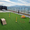 1987루프탑라운지 오시리아점 이미지