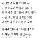 가위와빗 이미지