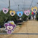 비봉농원 이미지