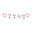 피오리레
