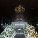 전주결혼준비 N타워 웨딩홀 투어 후기 (아이리스홀, 카시오페아홀, 베일리홀, 바흐홀, 신축웨딩홀)