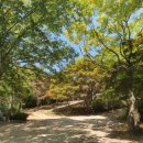 부여송죽마을 이미지