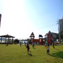 숲사랑유치원 이미지