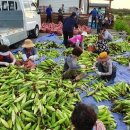 보람농장 이미지