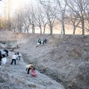 장흥면사무소 이미지