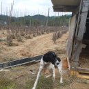 성주읍4길 이미지