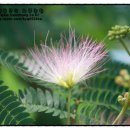 서건유통 이미지