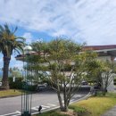 해송파크뷰 | 제주도 서쪽 서귀포 중문 신라호텔 더파크뷰 런치 뷔페 솔직후기