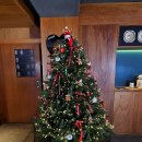 [야간] 포크기타 | 휘낭시에 감별사가 추천하는 행궁동 디저트카페, 버트 솔직 후기