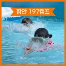마산아이포트 주식회사 | 함안 197캠프, 창원마산 근교 아이랑 가기 좋은 함안물놀이 수영장 솔직후기