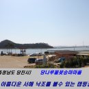 당나루물꽃승마마을 | [충청남도 당진시] 당나루물꽃승마마을캠핑장 / 당진여행 / 국내여행 / 당진캠핑 / 부녀캠핑 / 당진가볼...