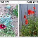 부안보건소 이미지