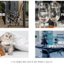 파라드시티 이미지