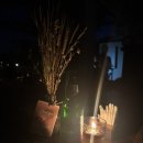 우붓 맛집 추천 Citrus Berry Ubud, Seeds Eatery 그리고 발리티키, 투키스 코코넛아이스크림, 코코마트