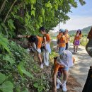 임성초등학교 이미지