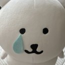 렌즈미 이천점 | p2nd