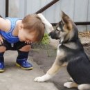 쓰담쓰담 이미지