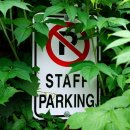 주정차단속-007 이미지