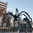 도쿄 모리미술관｜루이스 부르주아 전시 후기