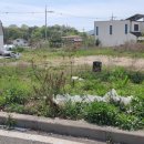 내일의경매부동산중개 이미지