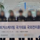 '음주·성추행' 피겨 국가대표 중징계…"재심 청구할 것" 이미지