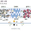 (주)에코프로비엠