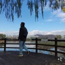 청수호수공원 이미지