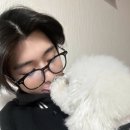 시온 이미지