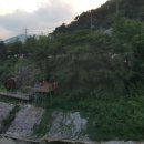 리도203호선 2 네이버블로그