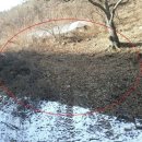 상오안리-01 이미지