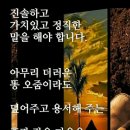 종로-연건-종로-연-296 | 서울중앙 경매10계 2024 타경 121327 [근린시설]