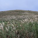 새별오름 이미지