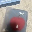 상하이 선물 추천 쇼핑리스트 tagi 타기 사과 여권케이스 후기