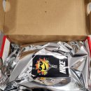 6968 | 나이키 덩크 로우 (주니어) FN6968 025 구매후기, 착샷