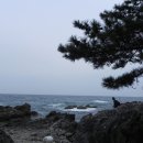 성현블루