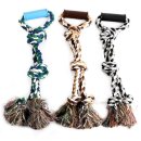 퀸 애견 이미지