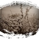 성림농장 이미지