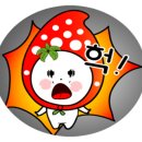 쏘네일 이미지