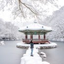 차샘정읍 이미지