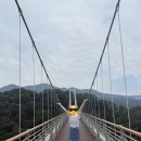 두 Y자(주말) | [초보운전 여행] 미우새 포천 한탄강 Y자 출렁다리, 비둘기낭폭포,하늘다리 주말 오전 방문 후기_25.08.03