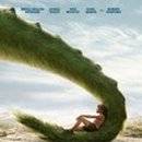 The Magic Top 8 이미지