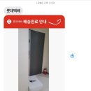 티엔에프(TNF) | 노스페이스 캐리어 후기 / NN2AQ53B / 24인치+20인치